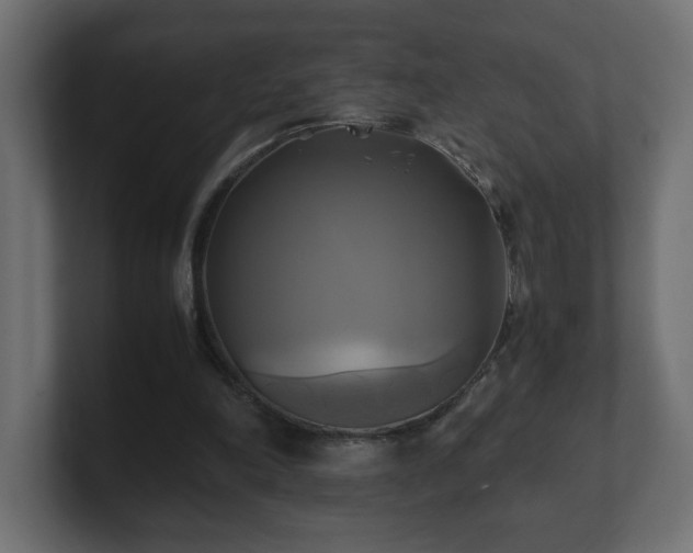 X0000100760198200806261612