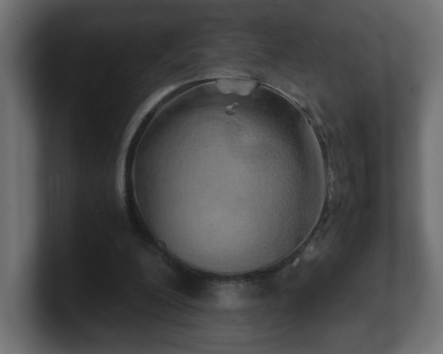 X0000100760200200806261612