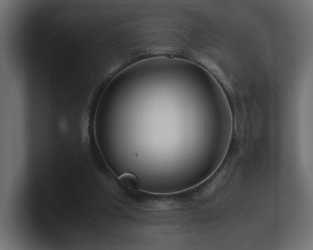 X0000100760201200806261612