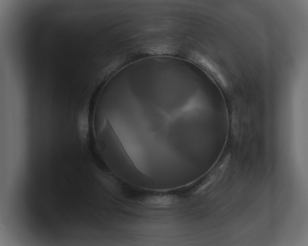 X0000100760202200806261612