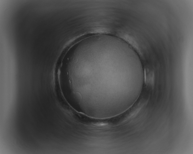 X0000100760204200806261612