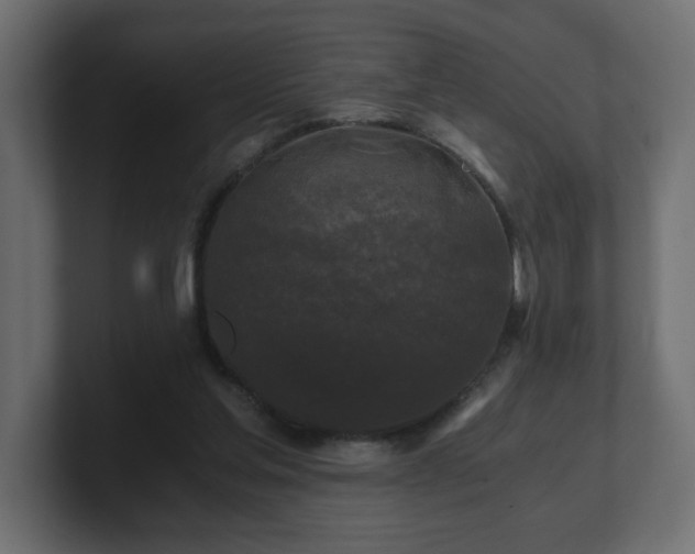 X0000100760205200806261612