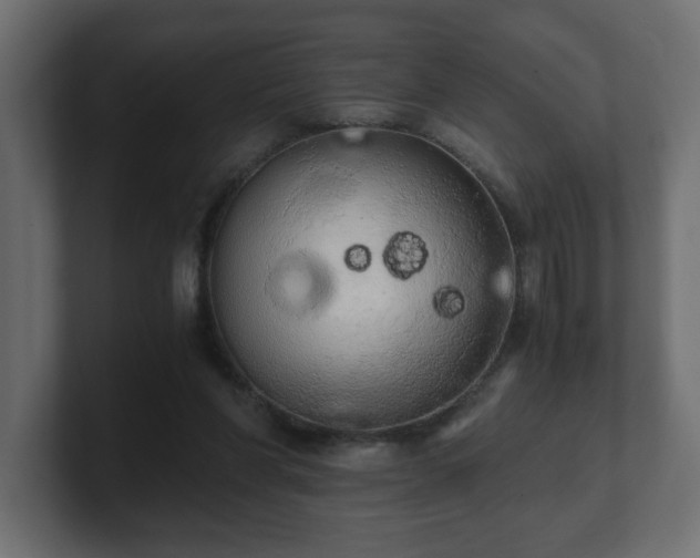 X0000100760206200806261612