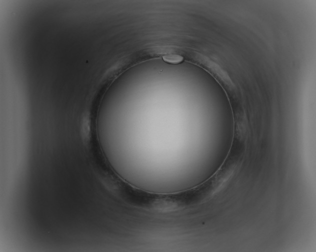 X0000100760207200806261612