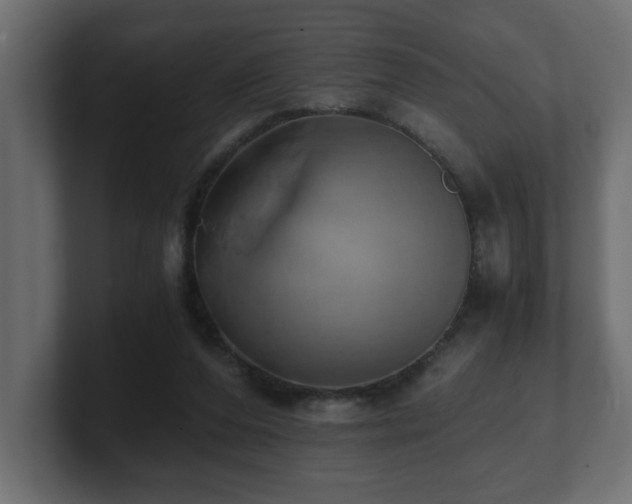 X0000100760208200806261612