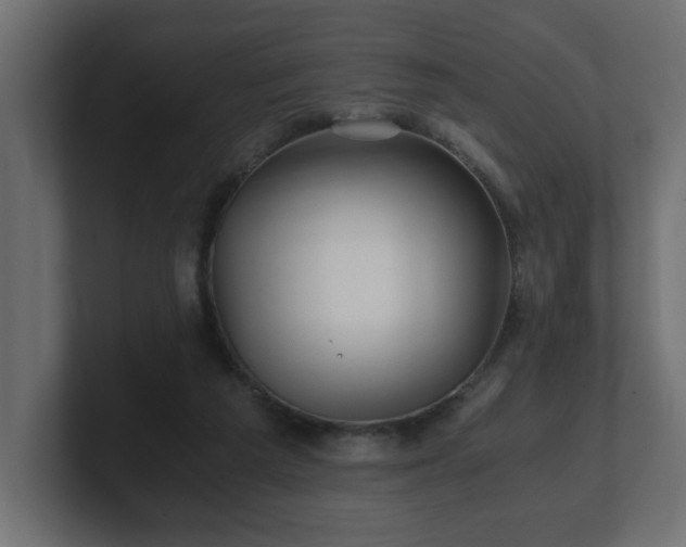 X0000100760209200806261611