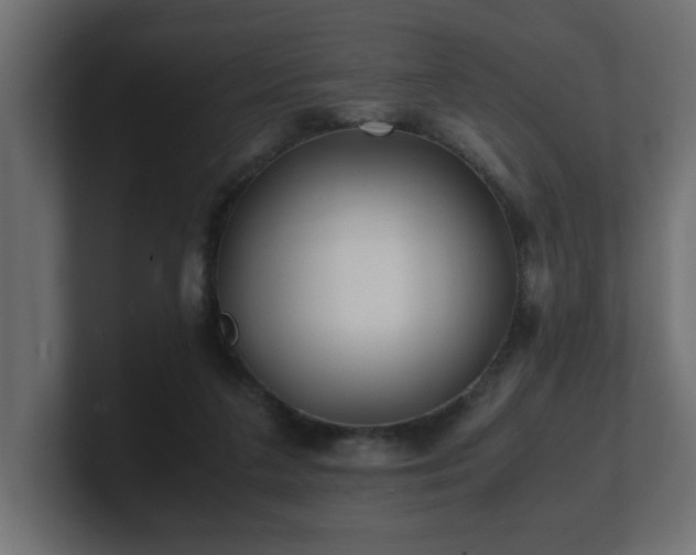 X0000100760211200806261611