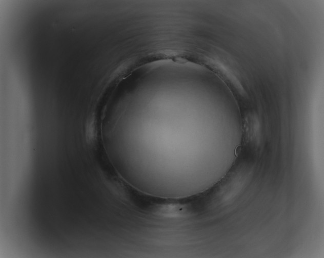 X0000100760212200806261611