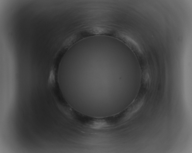 X0000100760214200806261611