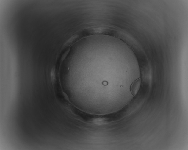 X0000100760216200806261611