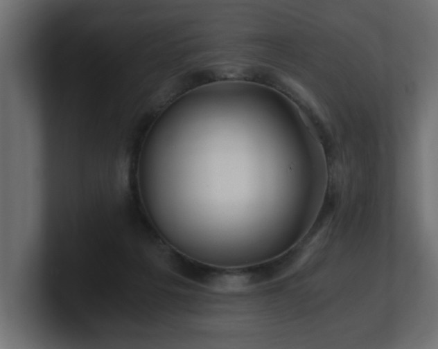 X0000100760217200806261611