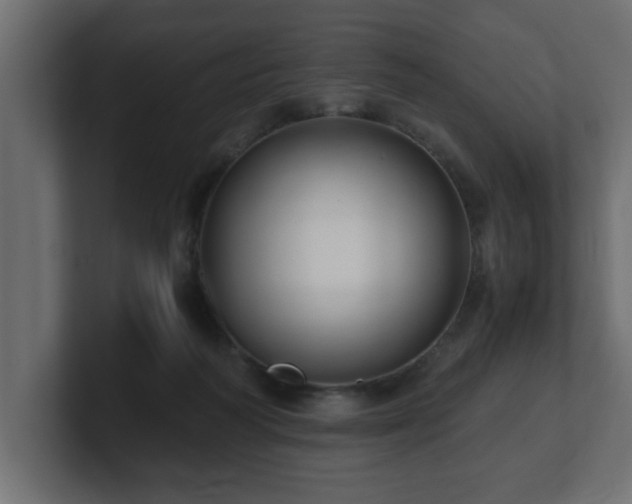 X0000100760218200806261611