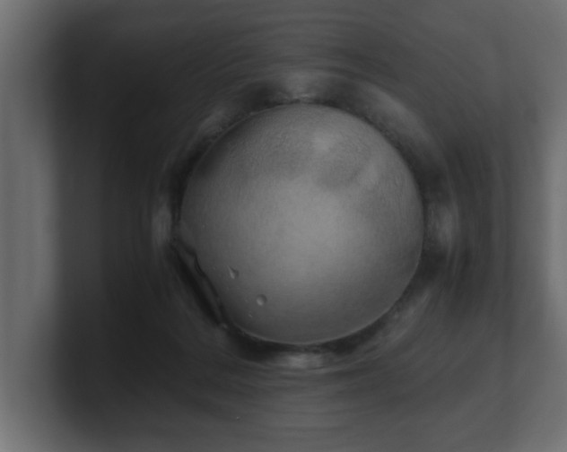 X0000100760220200806261611