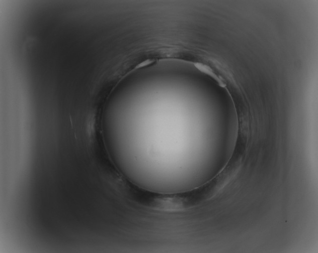 X0000100760221200806261611