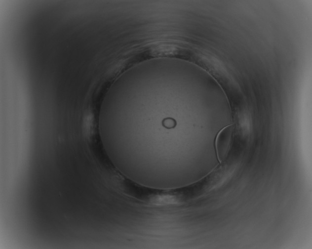 X0000100760224200806261611