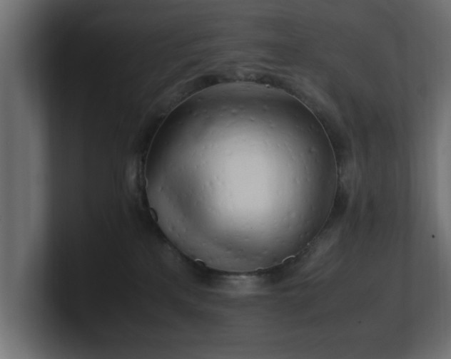 X0000100760233200806261611