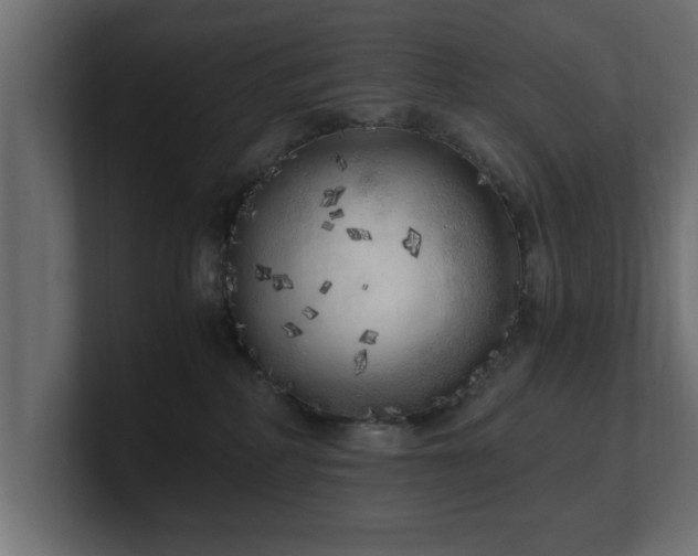 X0000100760234200806261611