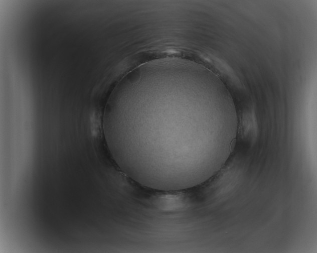 X0000100760236200806261611