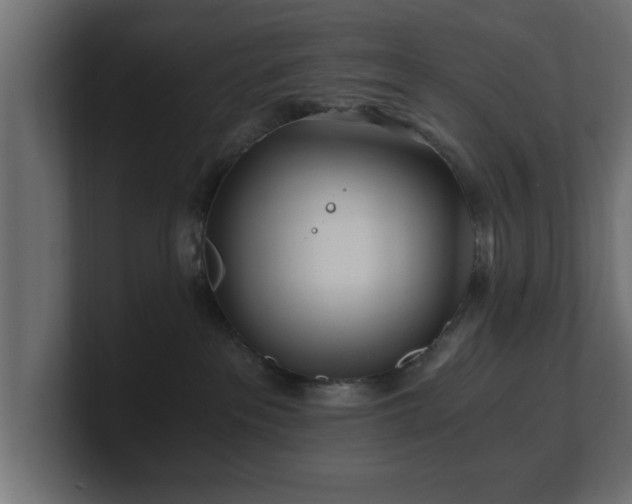 X0000100760237200806261611