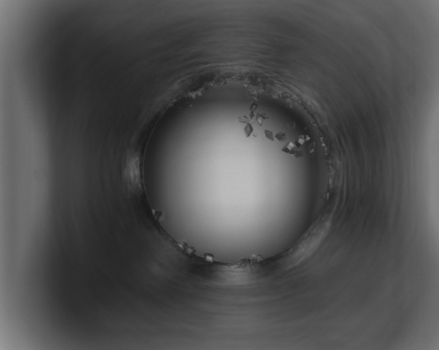 X0000100760238200806261611