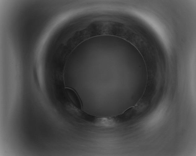 X0000100760239200806261611