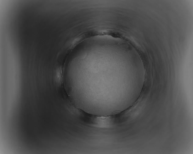 X0000100760240200806261611