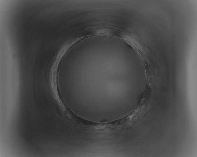 X0000100760241200806261610