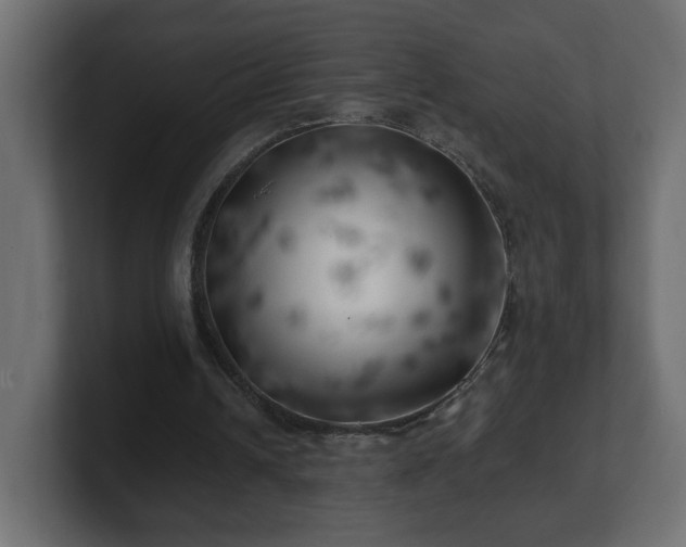 X0000100760242200806261610