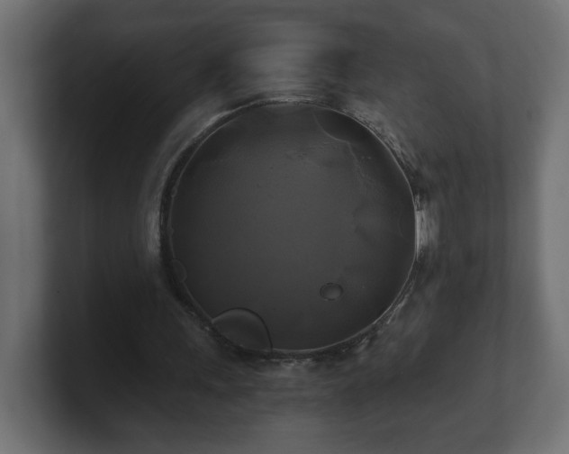 X0000100760243200806261610