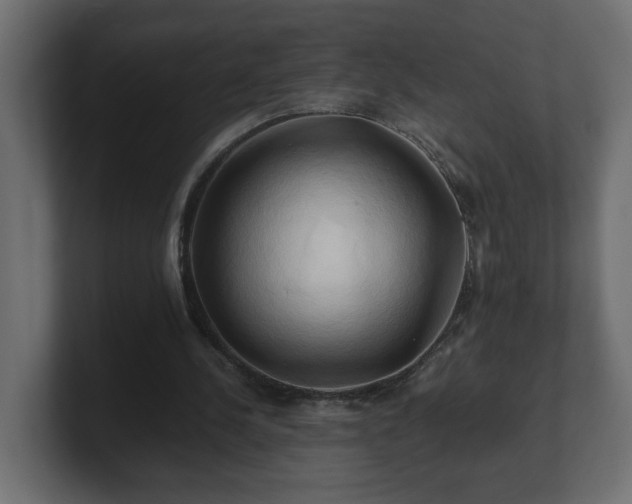 X0000100760244200806261610