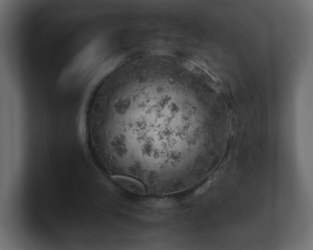 X0000100760245200806261610