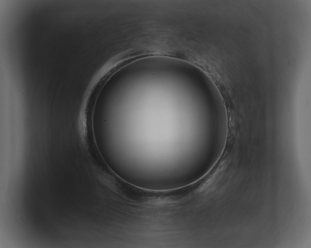 X0000100760246200806261610