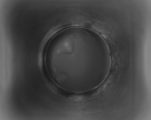 X0000100760247200806261611