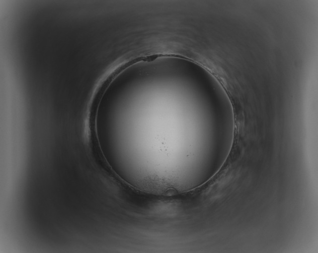 X0000100760248200806261611