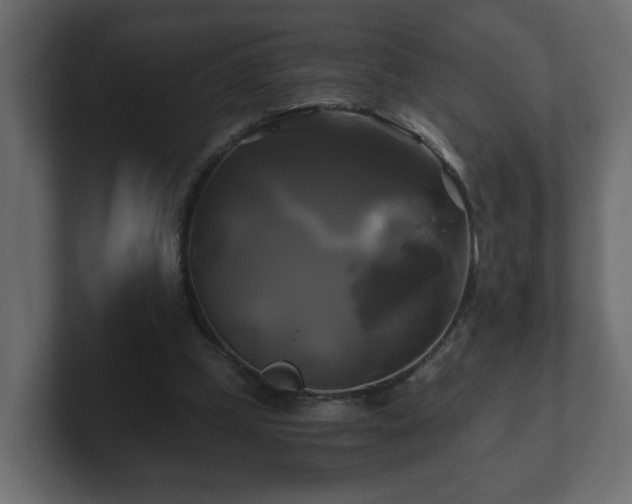 X0000100760249200806261611