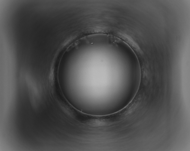 X0000100760250200806261611