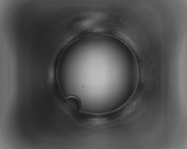 X0000100760251200806261611