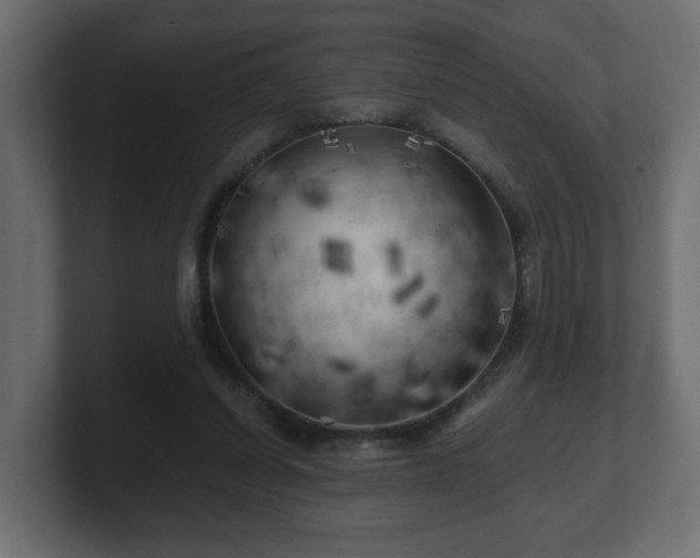 X0000100760254200806261611