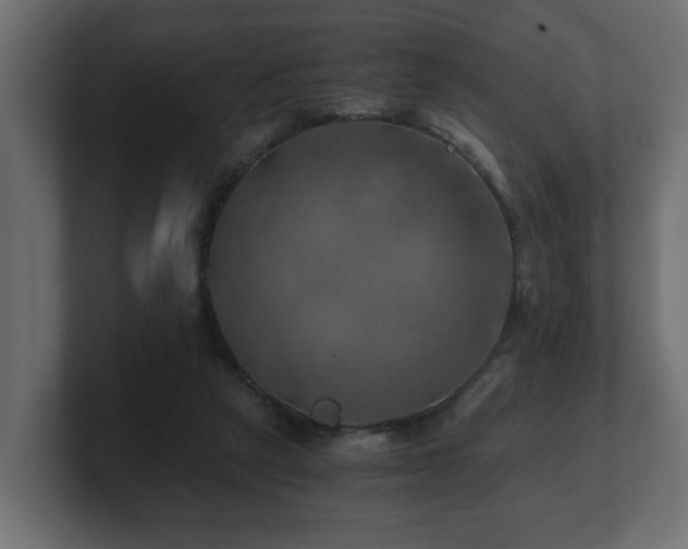 X0000100760257200806261611