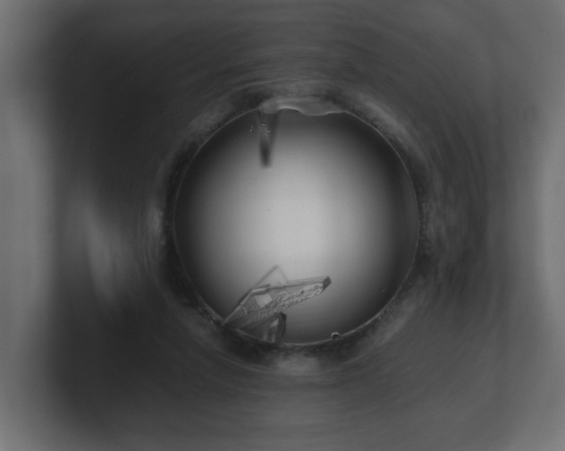 X0000100760258200806261611