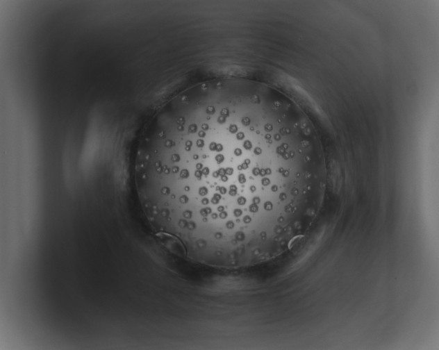 X0000100760259200806261611