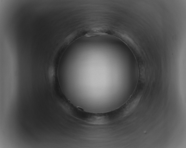 X0000100760260200806261611