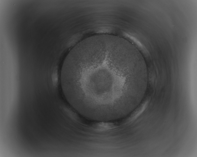 X0000100760261200806261611