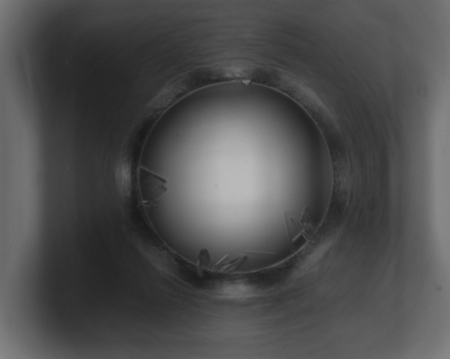 X0000100760262200806261611