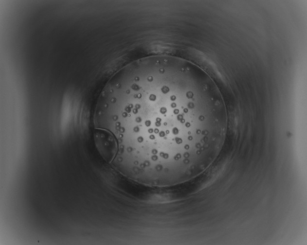 X0000100760263200806261611