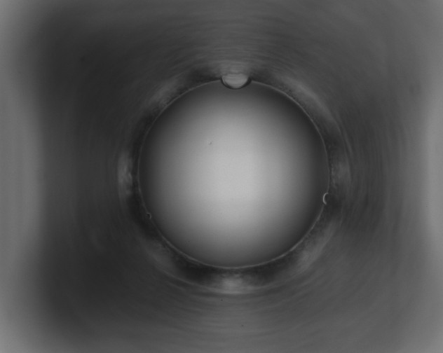 X0000100760264200806261611