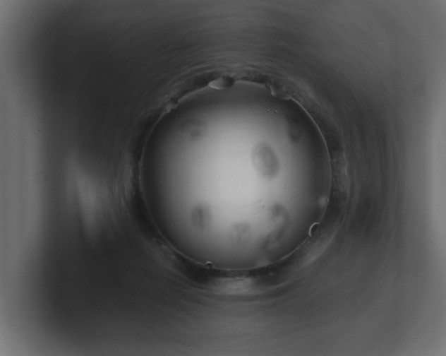 X0000100760266200806261611