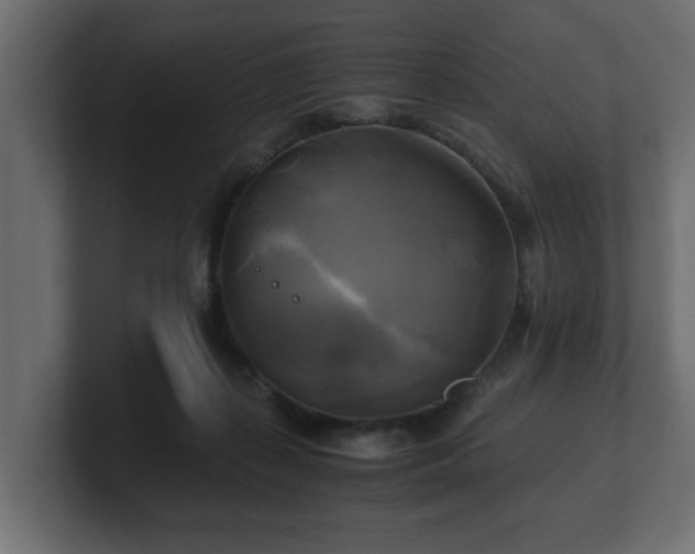 X0000100760267200806261611