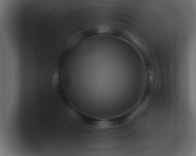 X0000100760269200806261611