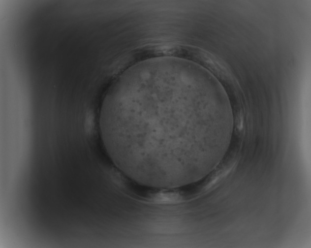 X0000100760270200806261611